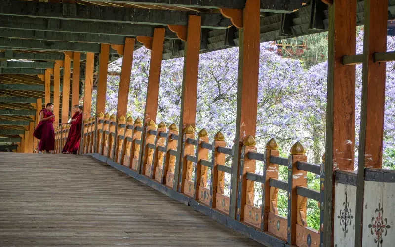 Voyage Bhoutan via Delhi : Thimphou, Punakha et Paro